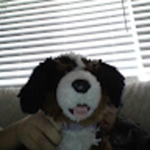 Meet your Posher, Jonathan gerald